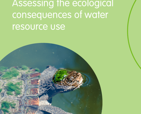 Assessing the ecological consequences of water resource use-Environmental Water-Eco Risk Projector