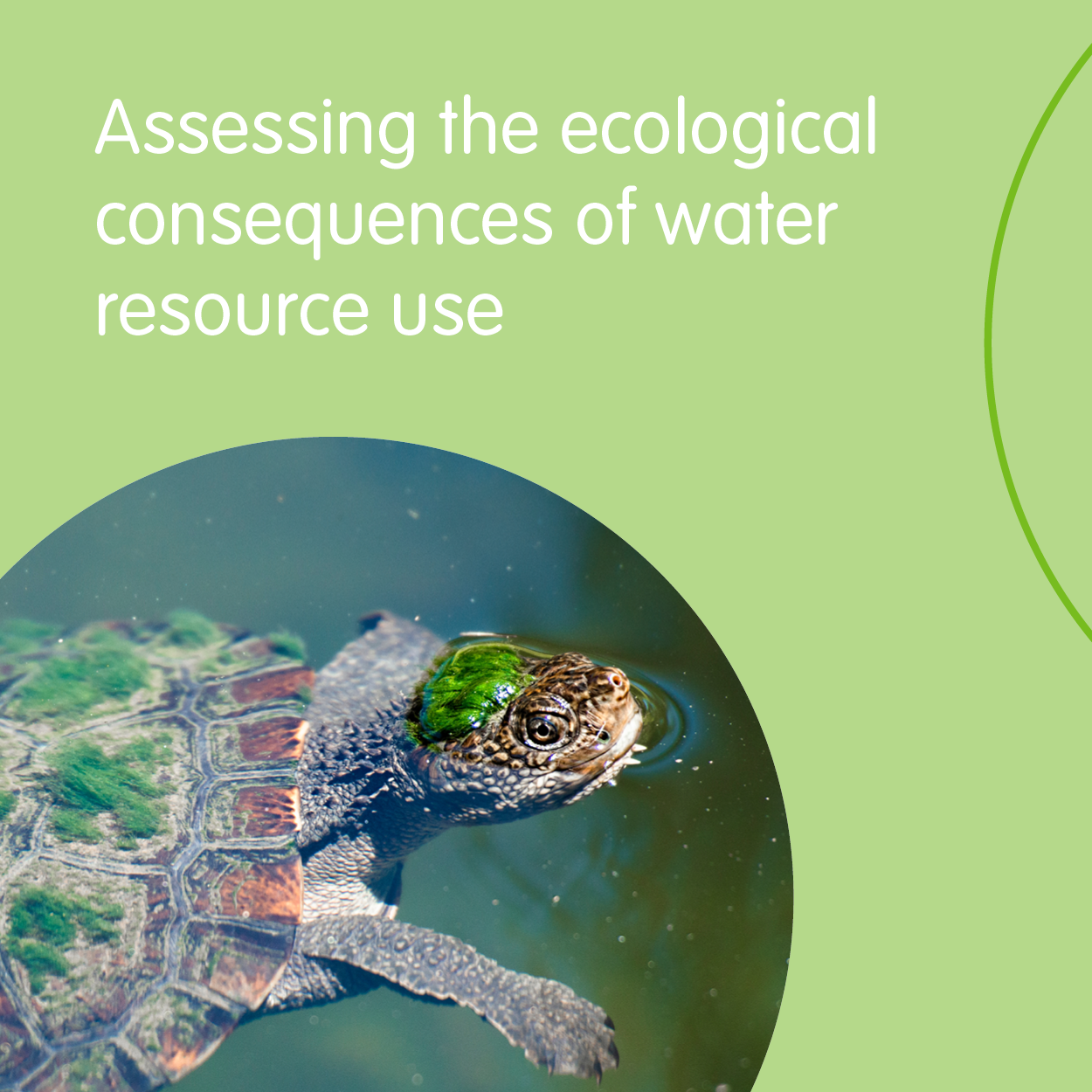Assessing the ecological consequences of water resource use-Environmental Water-Eco Risk Projector