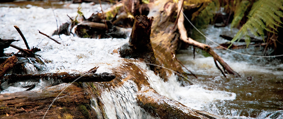 waterfall