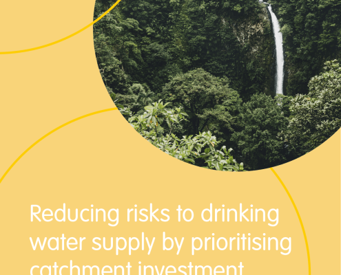 Natural Resource Investment - Reducing risks to drinking water supply by prioritising catchment investment - CIDSS Tool
