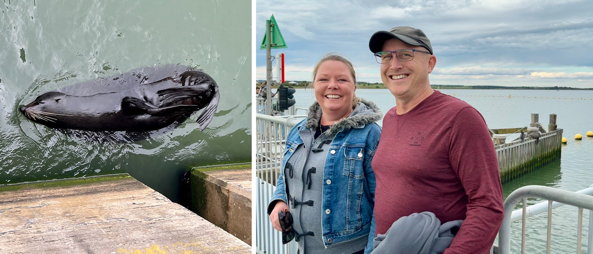 Fun times with the seals at the Goolwa Barrage.