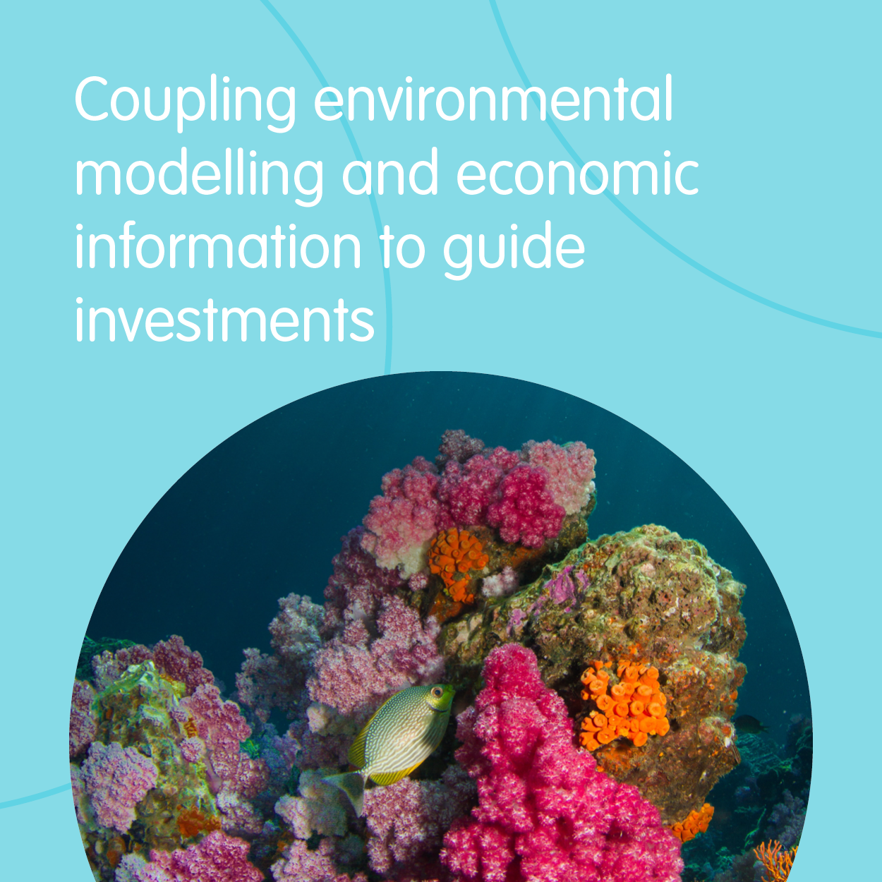 Coupling environmental modelling and economic information to guide investments