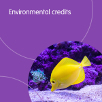 Environmental Credits