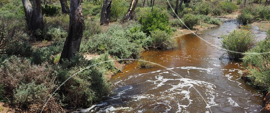 Natural Capital
