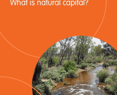 Natural Capital