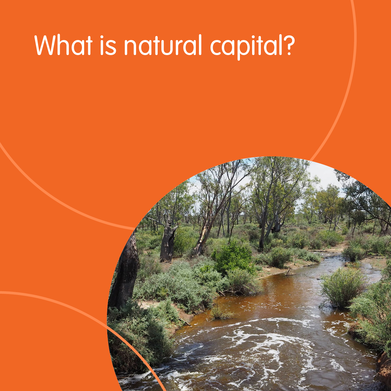 Natural Capital