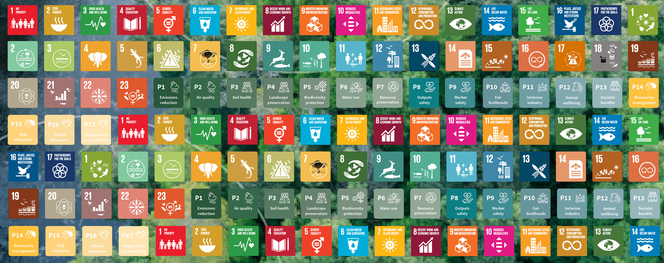 Sustainability reporting framework icons ESG GBF AASF