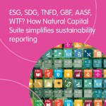 Sustainability reporting frameworks