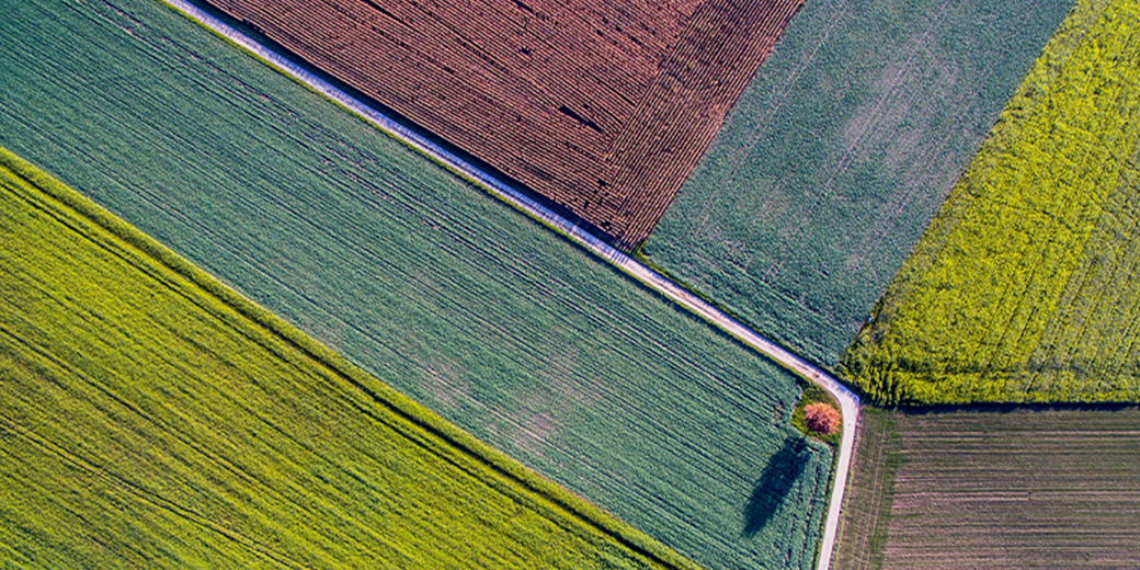 Land assessment and management